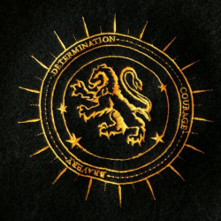 Sombrero Negro Gryffindor: Estilo y Distinción