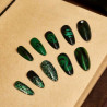 Dale Vida a Tus Uñas con Slytherin