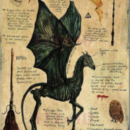 La Magia del Cartel poster Thestral