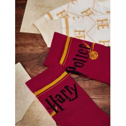Larga Aventura con Calcetines Harry Potter