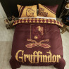 Dale Vida a Tu Habitación con Gryffindor