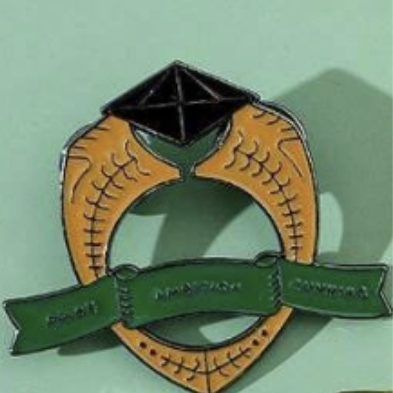 Pin Slytherin: Un Emblema de Ambición