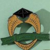 Pin Slytherin: Un Emblema de Ambición