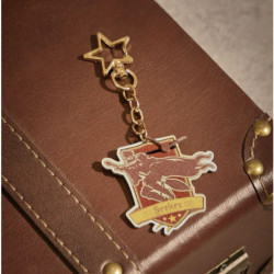 Llavero Gryffindor: ¡Atrapa la magia del Quidditch!