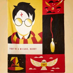 Manta Harry Potter: el regalo perfecto para un mago
