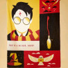 Manta Harry Potter: el regalo perfecto para un mago