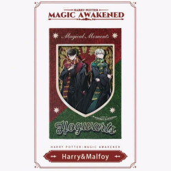 Notas de magia: Harry y Draco