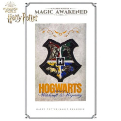 Organiza tu Vida con Estilo Hogwarts