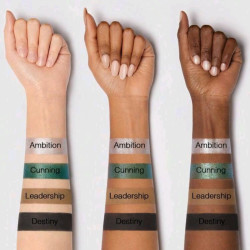 Paleta de Maquillaje Slytherin - Cosméticos Temáticos Harry Potter para Fans
